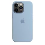 iPhone 13 Pro max Silicone Case